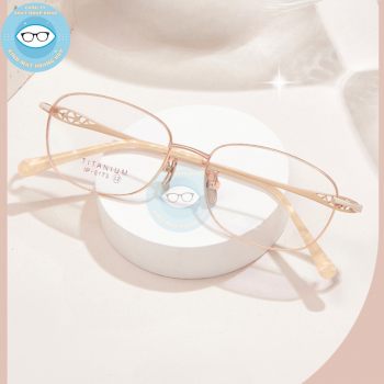 Gọng kính kim loại mã 6193